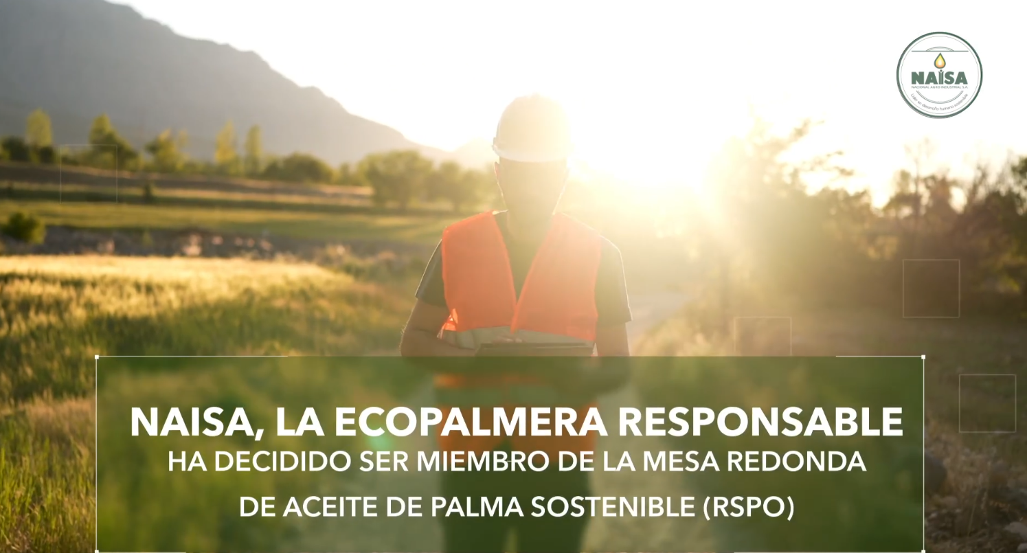 Naisa La Ecopalmera Responsable Ha Decidido Ser Miembro De La Mesa